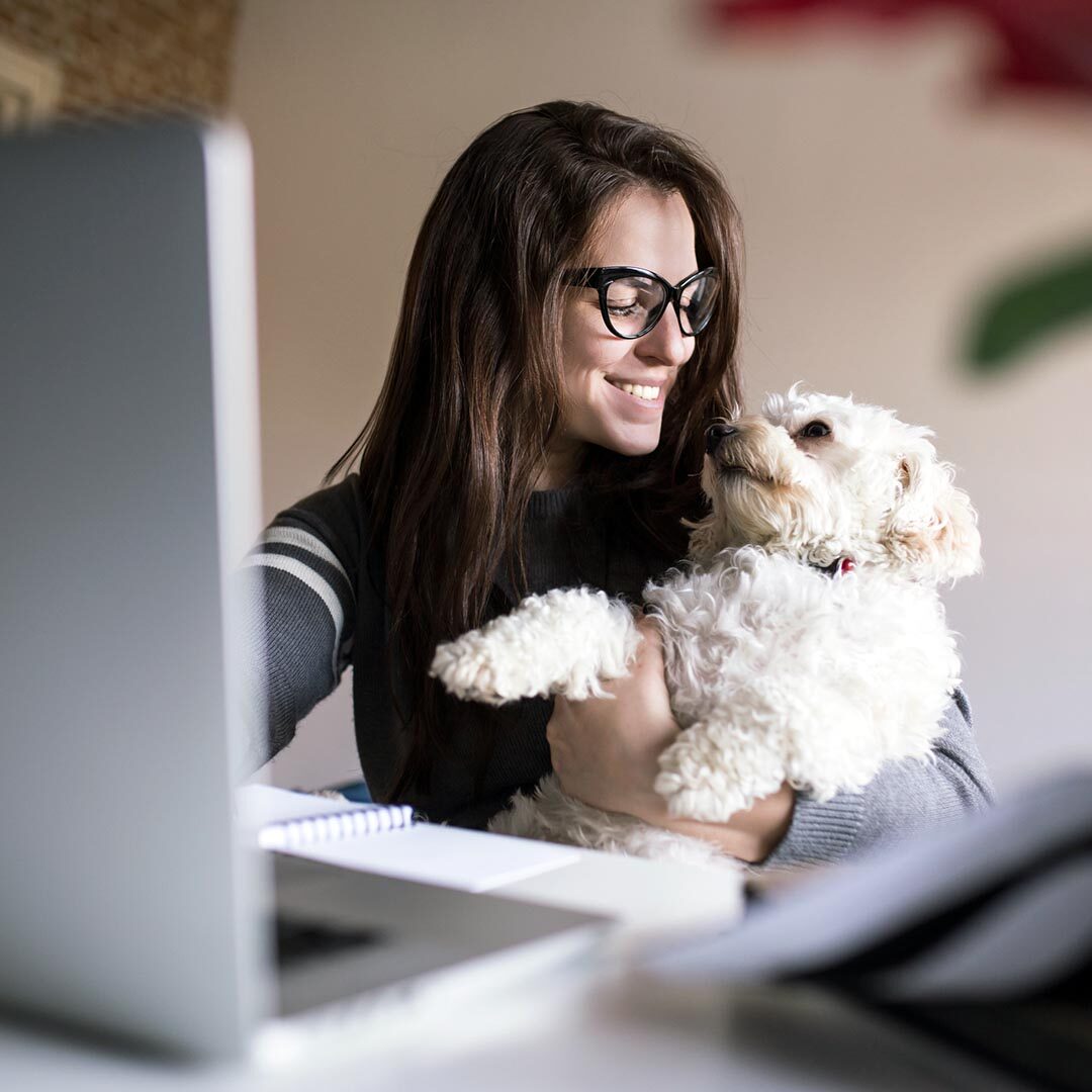 payment information at animal clinic of butler payment information at animal clinic of butler